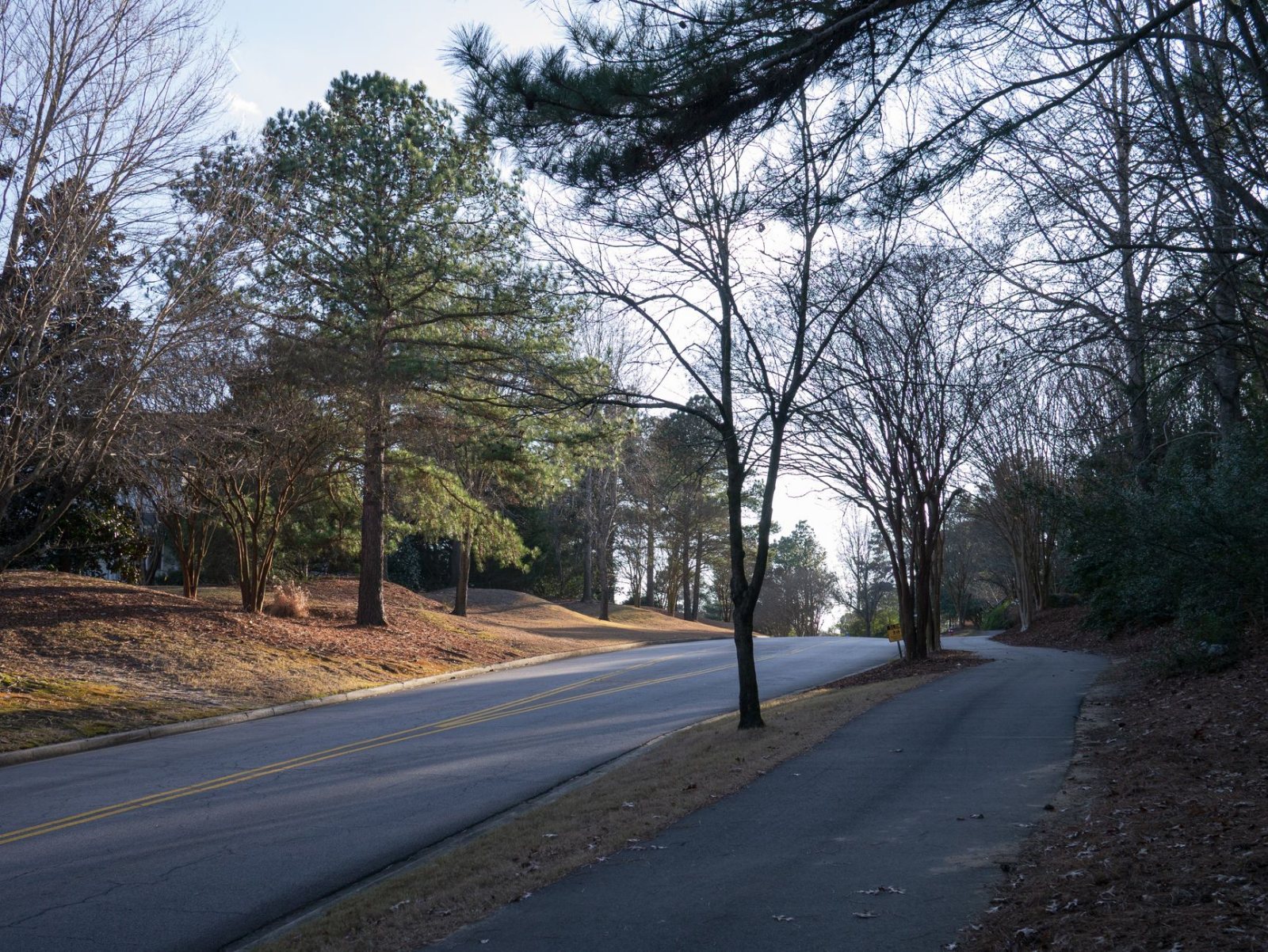 A quiet pine-lined residential street in wooded North Houston suburbia in low late-morning sun — mature loblolly pines on both verges, a mailbox and driveway in the near frame, a parked car and a jogger far down the road so the street reads as lived-in rather than vacant