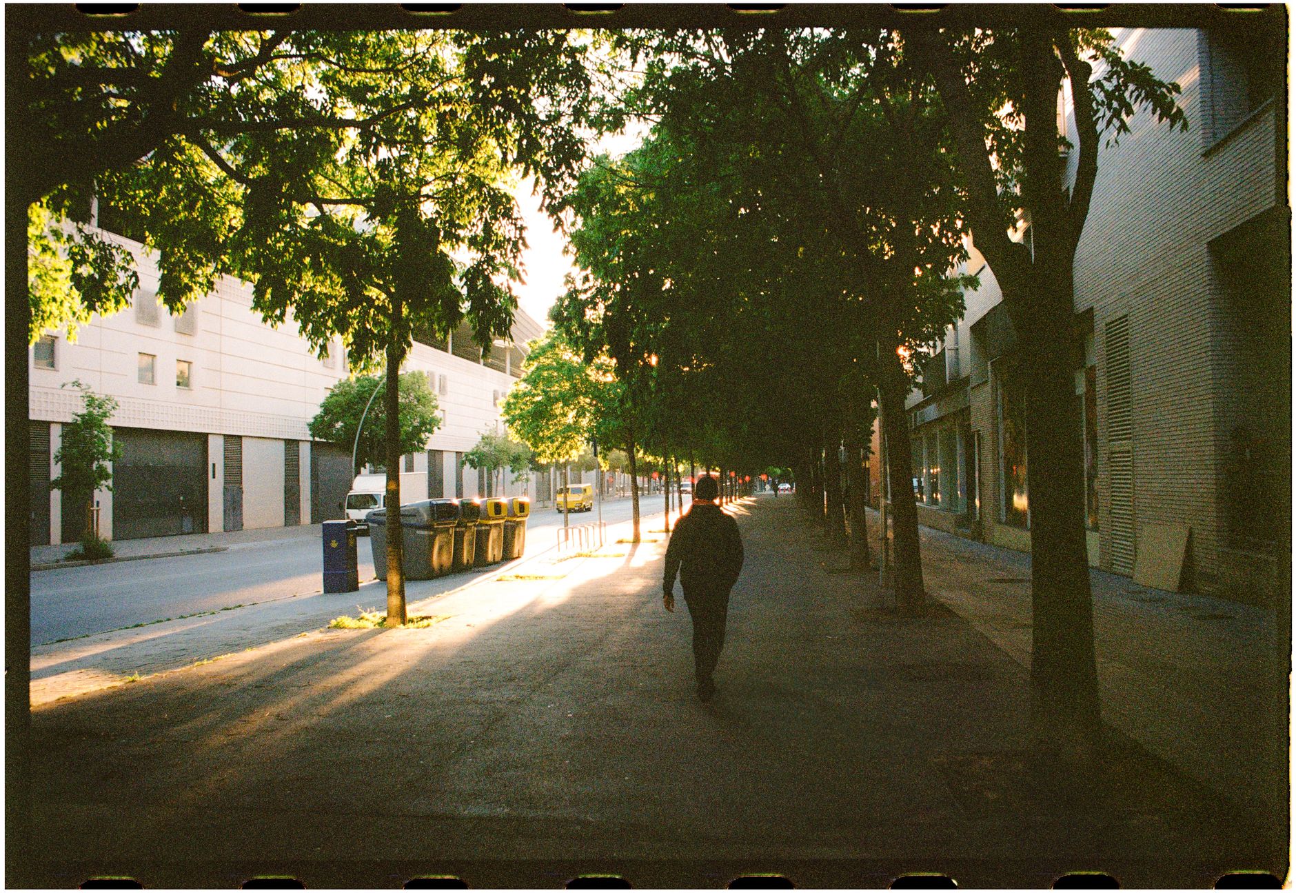 A person walking a pine-lined residential street in low sun, seen from behind at middle distance, unhurried and reading the street with confidence — the same quiet suburb as the hero, now understood.